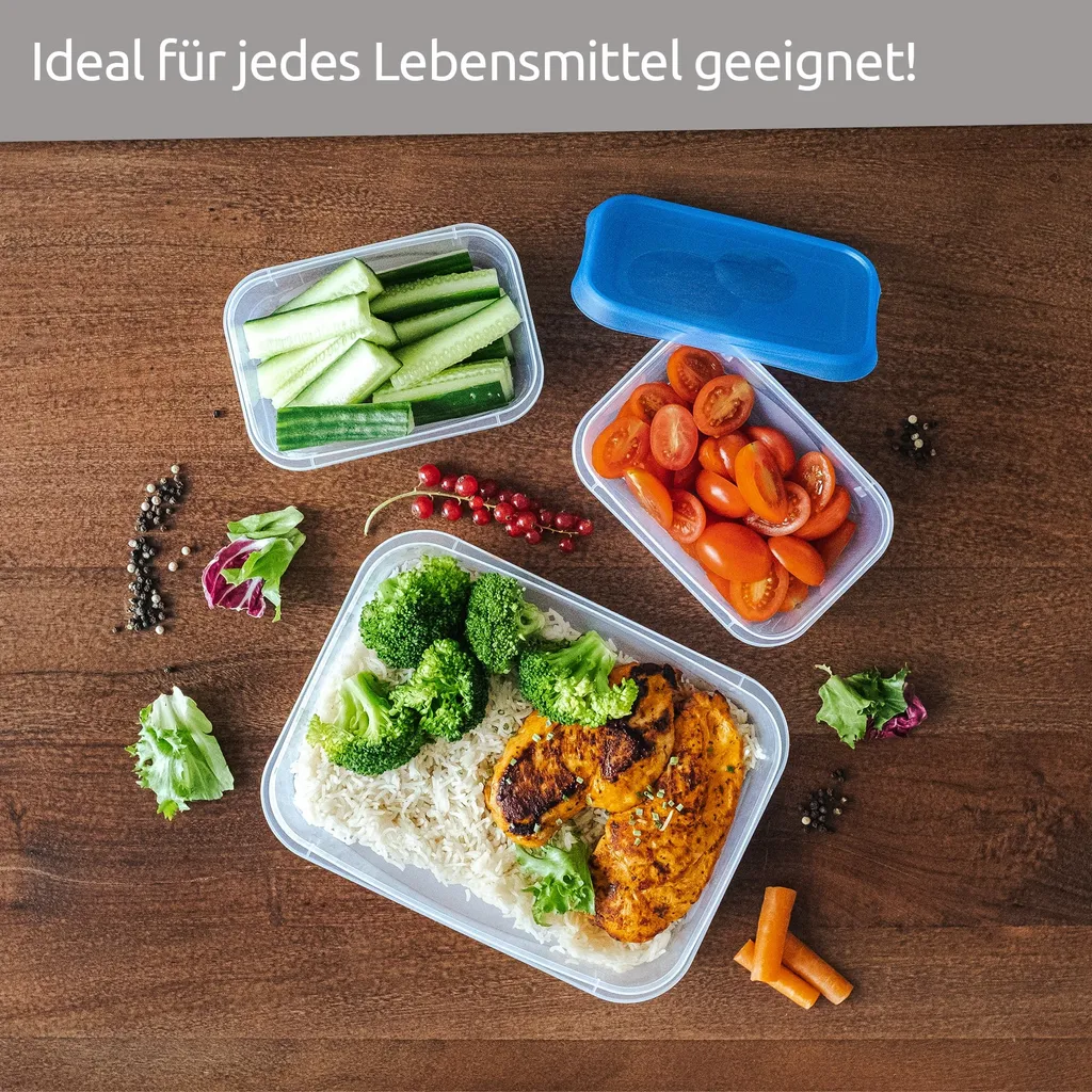 Wüllner & Kaiser Gefrierdosen 4er Set 750 Ml, Frischhaltedosen Mit Deckel, Ideal Zum Einfrieren, Vielfältig Verwendbar 7 Wüllner & Kaiser Gefrierdosen 4er Set 750 Ml, Frischhaltedosen Mit Deckel, Ideal Zum Einfrieren, Vielfältig Verwendbar – Bild 5