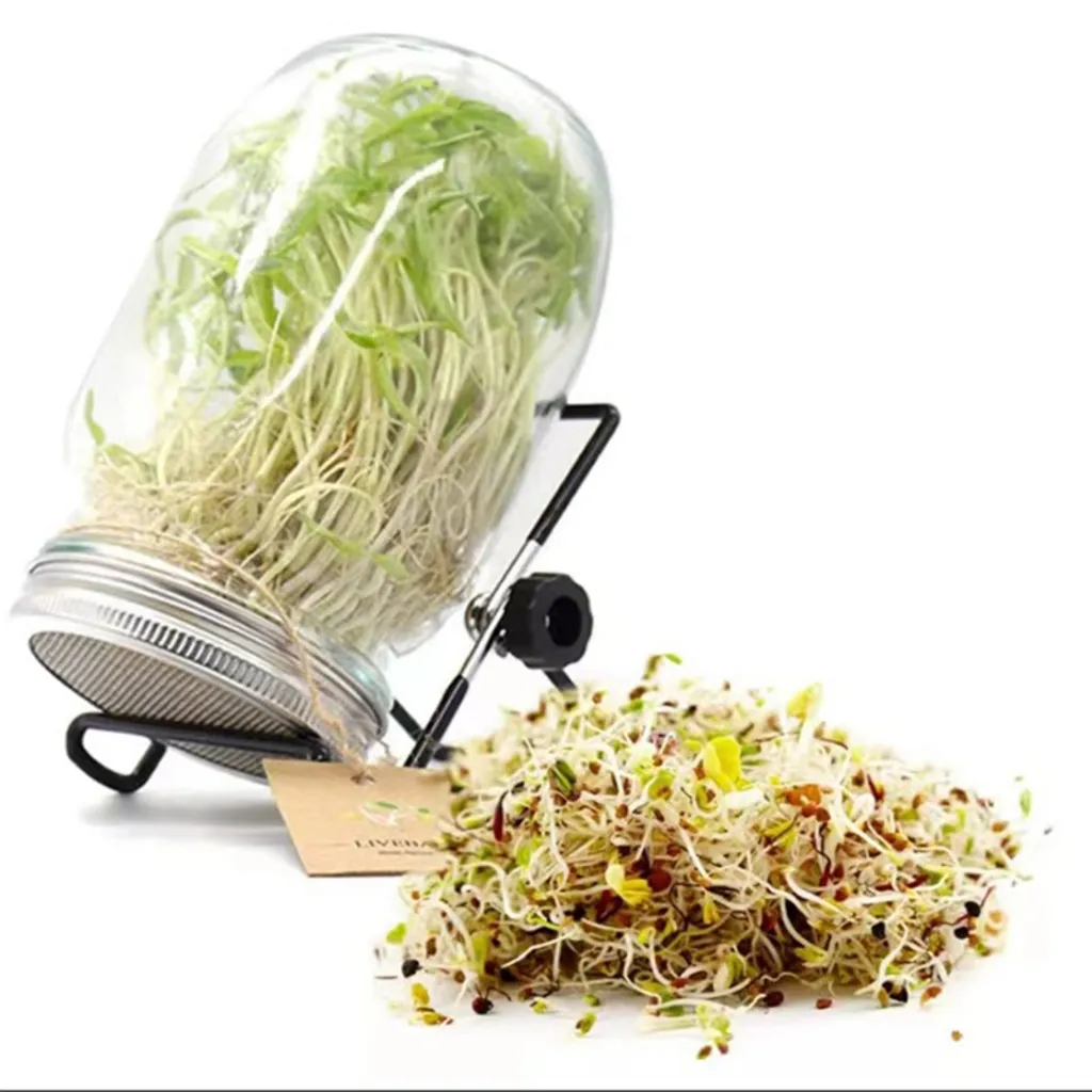 2x 750ml Sprossenglas Set Samenkeimer Mit Edelstahl Siebdeckel + Ständer, Das Sprossenglas Für Sprossen 4 2x 750ml Sprossenglas Set Samenkeimer Mit Edelstahl Siebdeckel + Ständer, Das Sprossenglas Für Sprossen – Bild 2