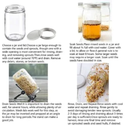 2x 750ml Sprossenglas Set Samenkeimer Mit Edelstahl Siebdeckel + Ständer, Das Sprossenglas Für Sprossen 29 2x 750ml Sprossenglas Set Samenkeimer Mit Edelstahl Siebdeckel + Ständer, Das Sprossenglas Für Sprossen -Kuechengeschirr 1633e2451395750d4e4b068d7c99c304