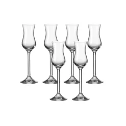 Leonardo Daily 6 Er Krt. Grappagläser -Kuechengeschirr 2014c22d7c20d8d46274227aa4c81d7f