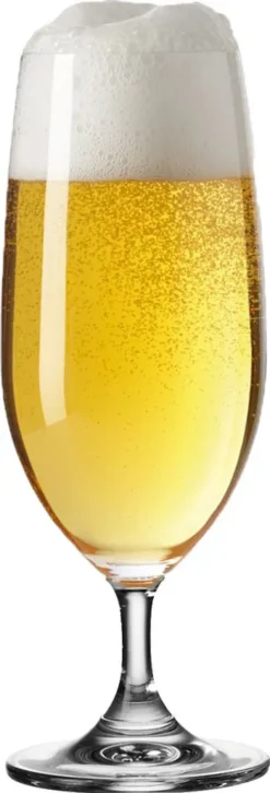 Leonardo Daily 6 Er Krt. Biertulpen -Kuechengeschirr 393af5dd7bc5a9e7a17d48f344381608 1