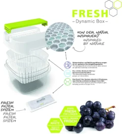ROTHO Dynamic Box 6,4 L FRESH, Farbe:Limettengrün -Kuechengeschirr 40b78776df0dc84eee61b361f2a24cb6