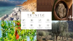 Nachtmann Vorteilsset 2 X 4 Glas/Stck Obstbrand 50/46 Vivendi 89736 Und Gratis 1 X Trinitae Körperpflegeprodukt 9 Nachtmann Vorteilsset 2 X 4 Glas/Stck Obstbrand 50/46 Vivendi 89736 Und Gratis 1 X Trinitae Körperpflegeprodukt -Kuechengeschirr 67077e59e1a1032d5c820cf4eae4ab17