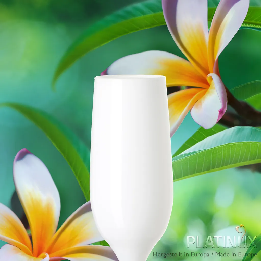 Weiße Sektgläser Set 6 Teilig Champagnergläser 160ml (max. 200ml) Aus Glas 9 Weiße Sektgläser Set 6 Teilig Champagnergläser 160ml (max. 200ml) Aus Glas – Bild 7