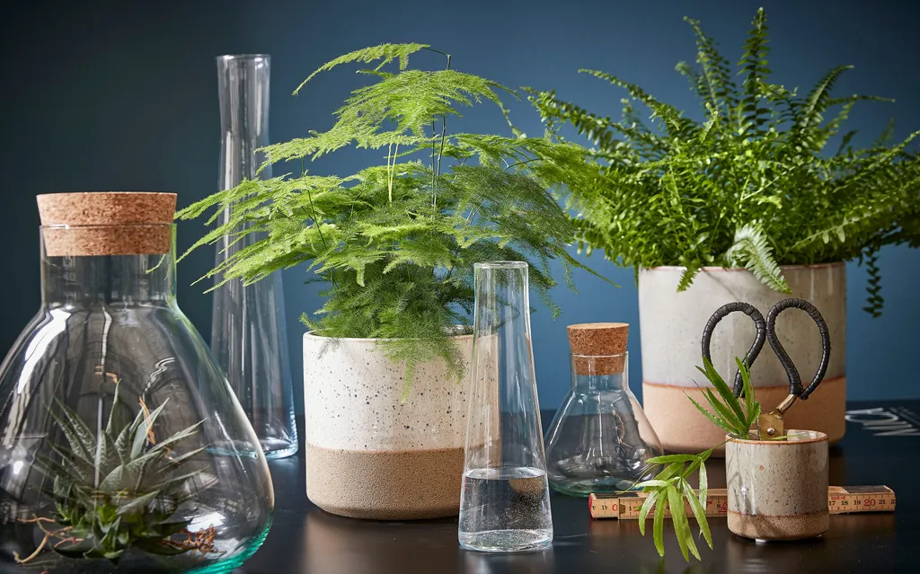 Mica Decorations Emily Vorratsglas - H32 X Ø29,5 Cm - Transparent 10 Mica Decorations Emily Vorratsglas - H32 X Ø29,5 Cm - Transparent – Bild 8