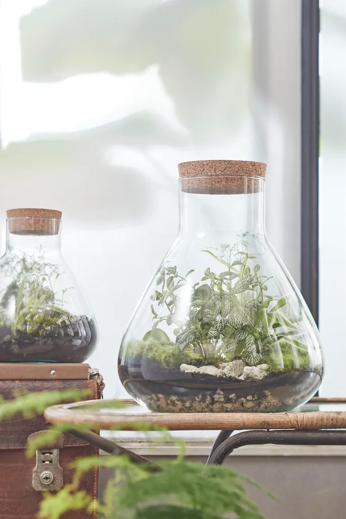 Mica Decorations Emily Vorratsglas - H32 X Ø29,5 Cm - Transparent 11 Mica Decorations Emily Vorratsglas - H32 X Ø29,5 Cm - Transparent – Bild 9