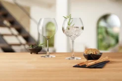 Leonardo GK/2 Gingläser 630ml Gin 14 Leonardo GK/2 Gingläser 630ml Gin -Kuechengeschirr aa141246be7a753b8293b6f4a759948e