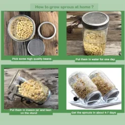 2x 750ml Sprossenglas Set Samenkeimer Mit Edelstahl Siebdeckel + Ständer, Das Sprossenglas Für Sprossen 28 2x 750ml Sprossenglas Set Samenkeimer Mit Edelstahl Siebdeckel + Ständer, Das Sprossenglas Für Sprossen -Kuechengeschirr b1976c7197dd9d3c92a258c6d2e0e4d2