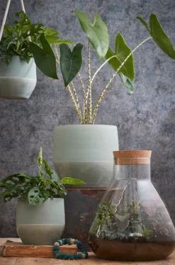 Mica Decorations Emily Vorratsglas - H32 X Ø29,5 Cm - Transparent 18 Mica Decorations Emily Vorratsglas - H32 X Ø29,5 Cm - Transparent -Kuechengeschirr c77d52452abee1b3b34a268c31c0f2c3