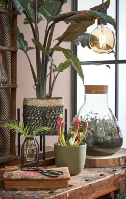 Mica Decorations Emily Vorratsglas - H32 X Ø29,5 Cm - Transparent 16 Mica Decorations Emily Vorratsglas - H32 X Ø29,5 Cm - Transparent -Kuechengeschirr eb27dff841aa8ba12737380badcb50be